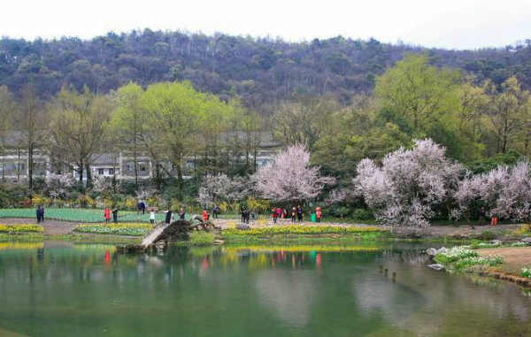 初春的风景