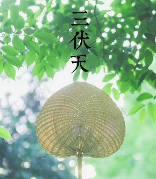 浪淘沙 三伏天 一一沁园春