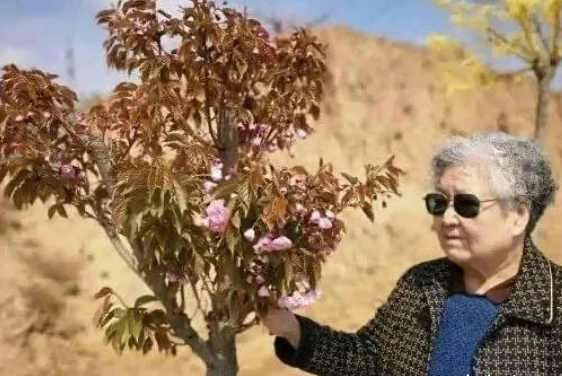 孟东花|我心中的薛方晴老师
