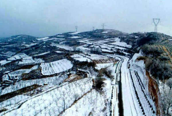 闻家乡陇上飞雪