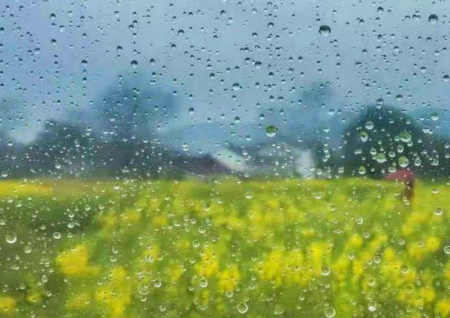 汪国生|夜喜春雨