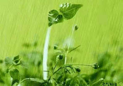 汪国生|谷雨:旧作
