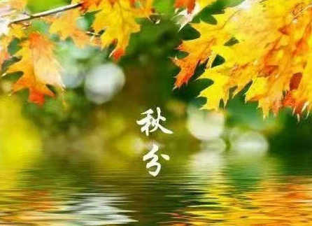 七绝/四时写意(新韵)