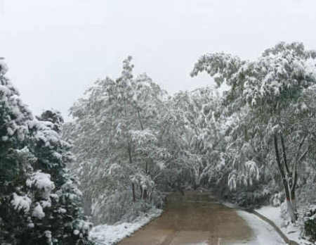 七绝/大雪随吟