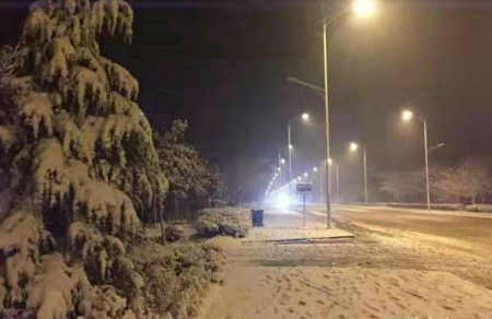 七绝/雪夜行