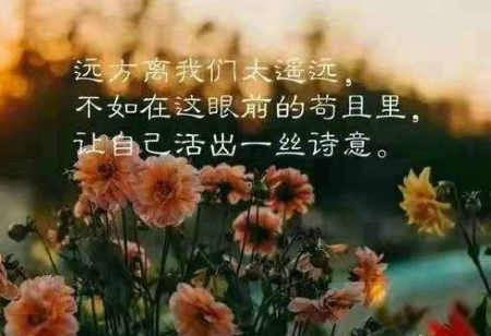 七绝/闲感