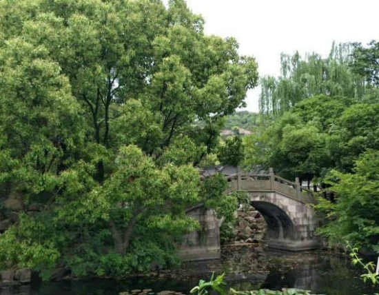 七绝/江南行