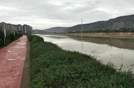 五律/重阳登高