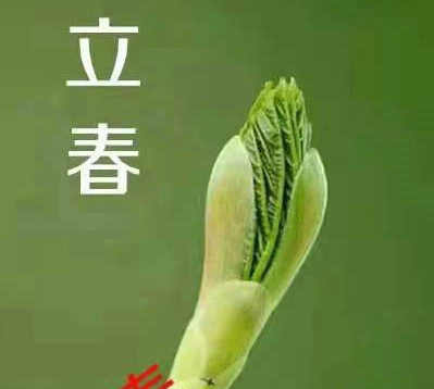 七绝/正日初四立春作