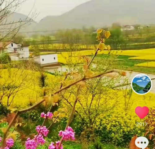 郭明祥|黄色在汉中很正经