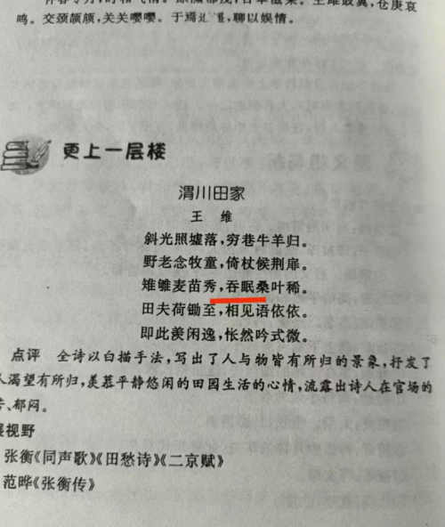 【艾叶|怎一个“错字”了得！】图3
