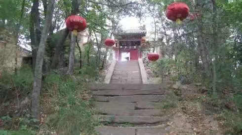 艾叶|云雾山寻三十二年前题诗