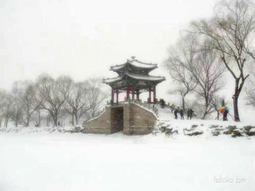 张彩萍|看雪