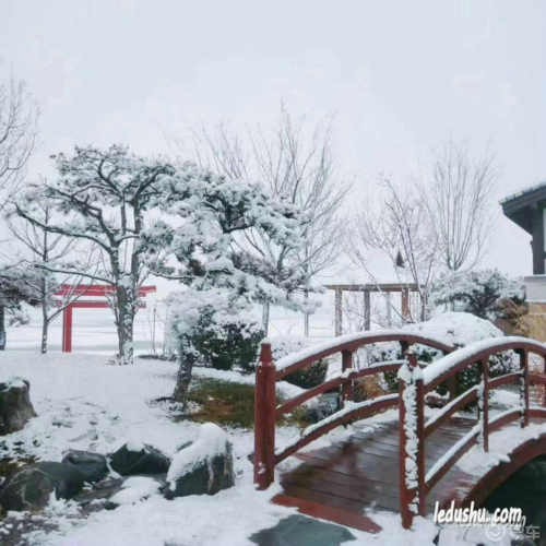 张彩萍:看雪