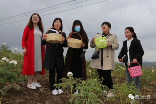 【飞奔仙岭 一路花香——记“神仙梁——我和牡丹有个约会踏青赏花文友联谊会”之一】图3