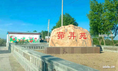 胥小蕊|写给故乡的茆丹