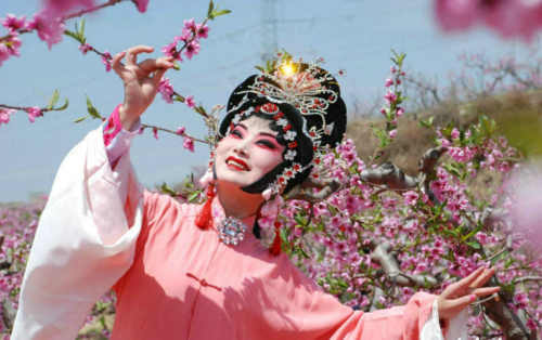 【桃花引——诗意秦安】图4