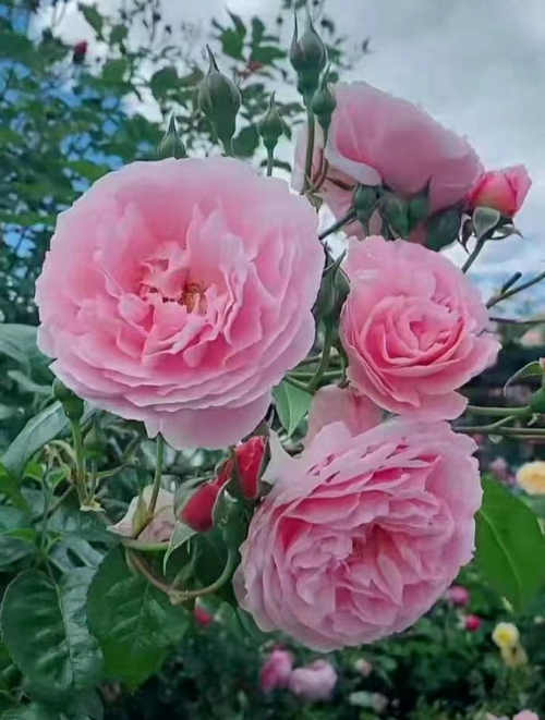 七绝 秦安人工湖