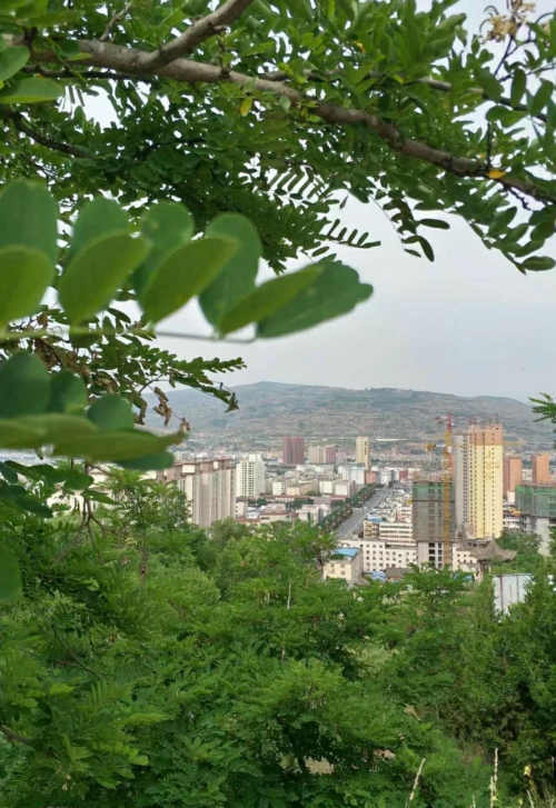 七绝/清晨漫步