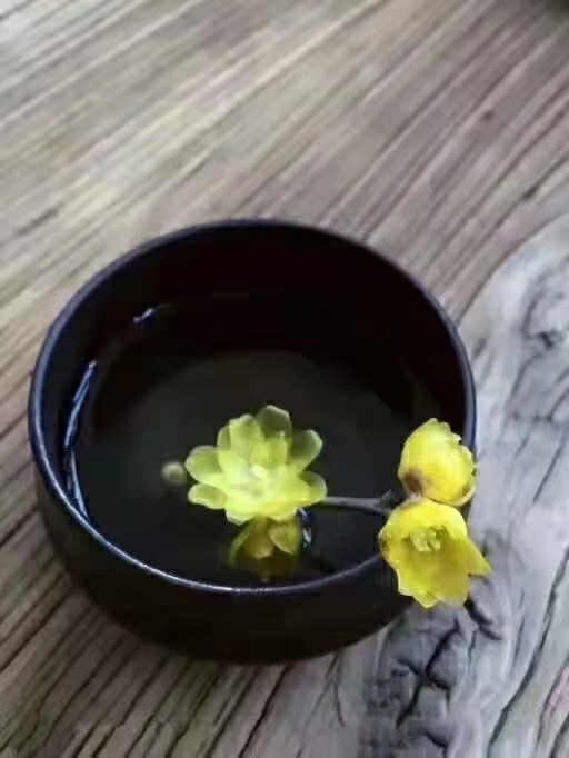 张彩萍|​绝句