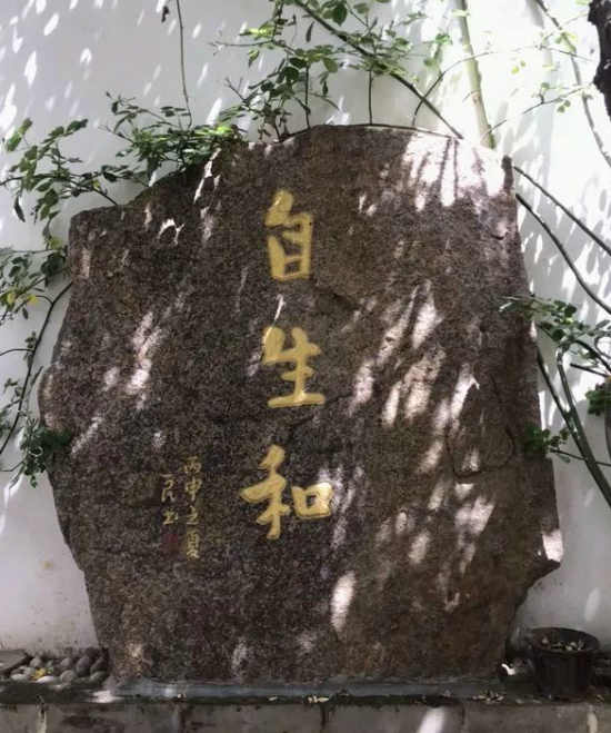 【坚守在钢筋水泥缝中的“自生和”古民居】图2
