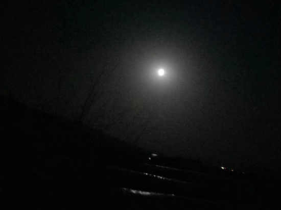 春夜月