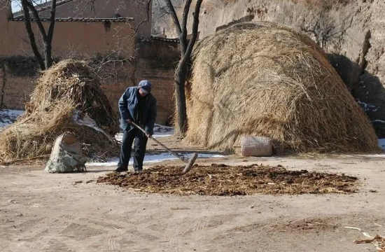 李成义|秦安农村人的扫填炕