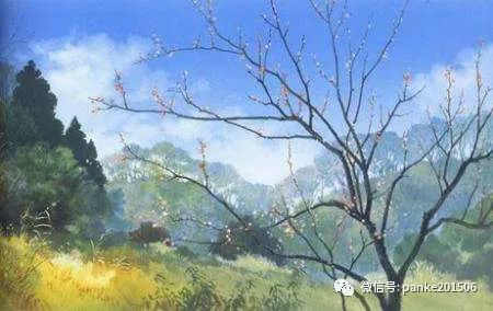 走过春天
