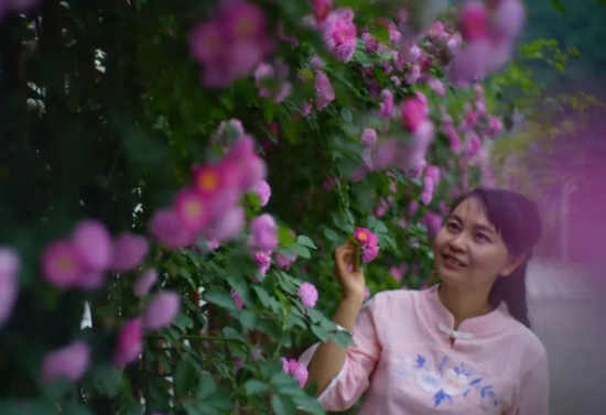多好的诗，也要遇见能读懂的人 。