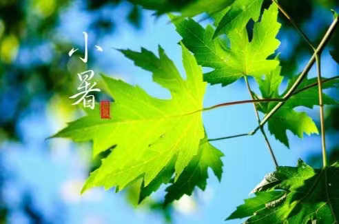 七律/小暑