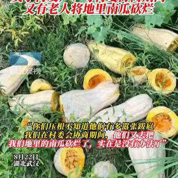 七绝两首/湖北老人偷抢南瓜事件闲感(新韵)