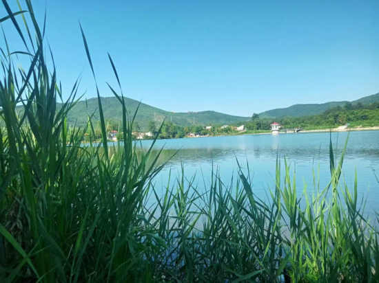 郭明祥|陈仓渭河静悄悄