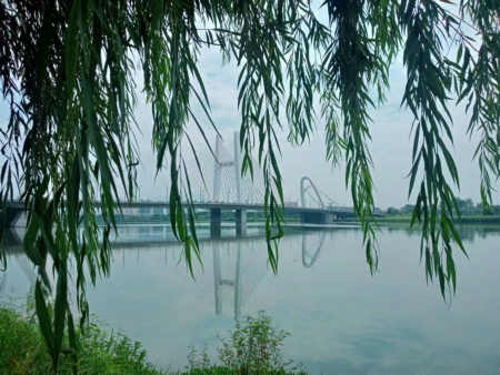 郭明祥|风吹走眼中风景