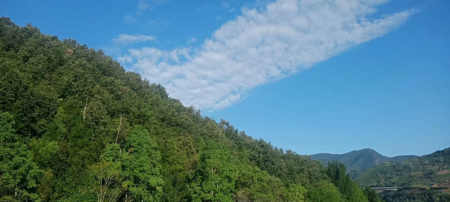 郭明祥/秋天小样
