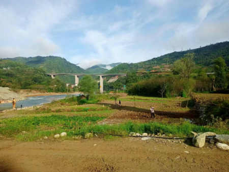 郭明祥|风带走眼中风景