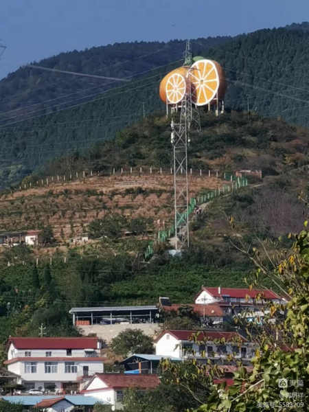 郭明祥|烟雨橘乡花果山