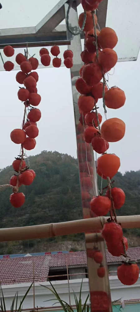 郭明祥|挂在阳台的秋天