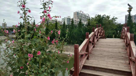 七律/秦安葫芦河公园游