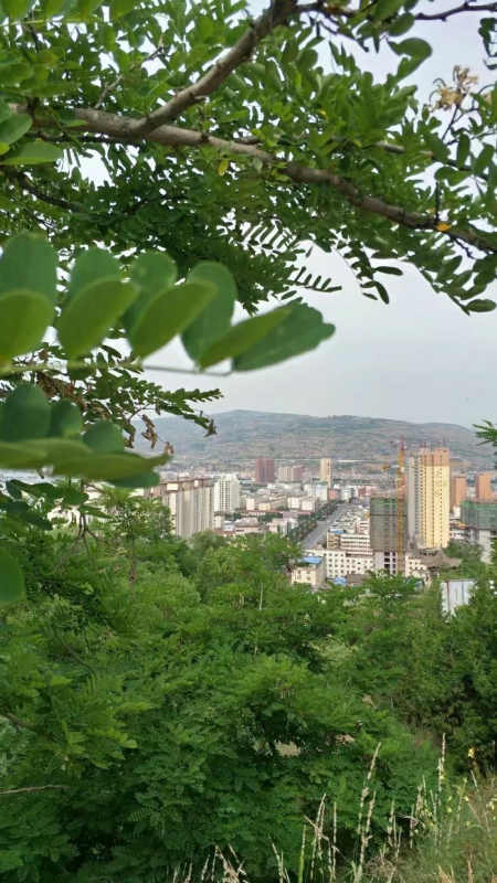 喝火令.故乡新境