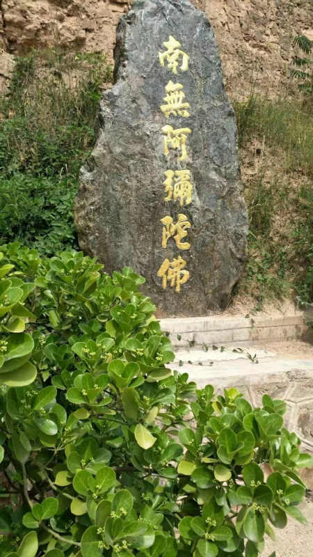 七律 无题