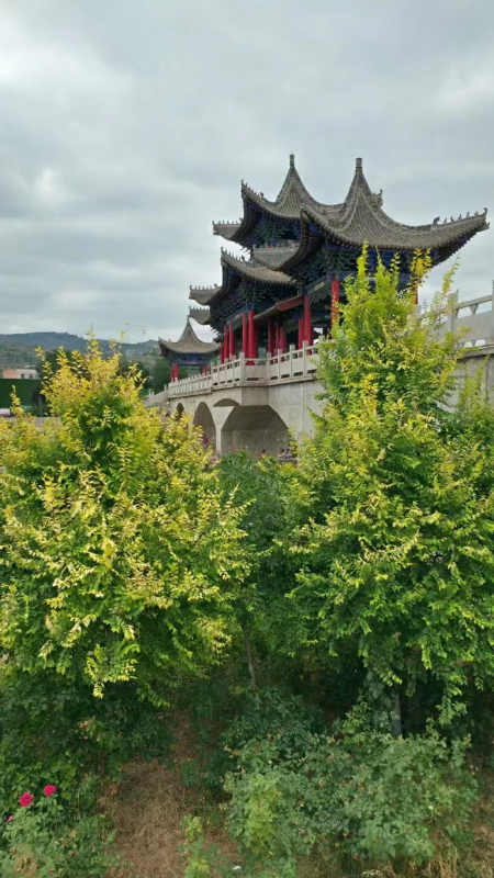中兴乐/久旱初秋风雨来