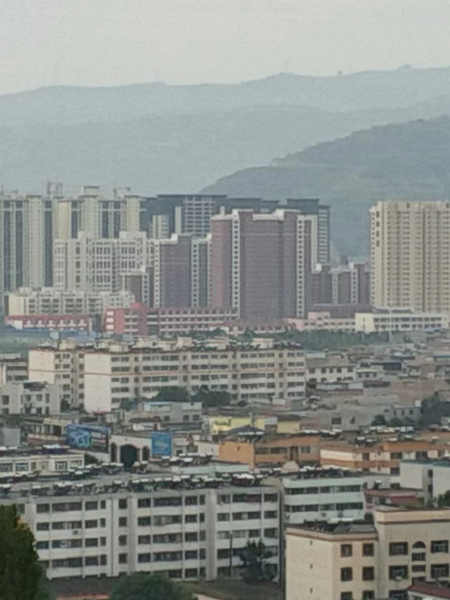 七绝.秋日伫窗