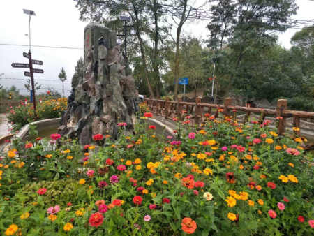倾杯令/国庆秦安千户老山村行