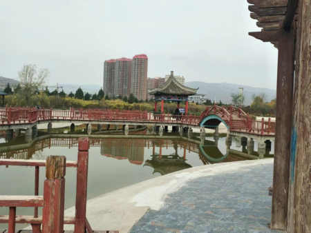 五律/西桥观湖