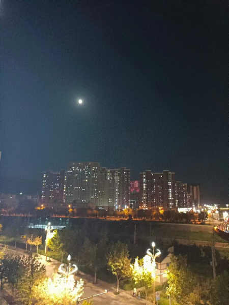 五律  每逢佳节倍思亲  