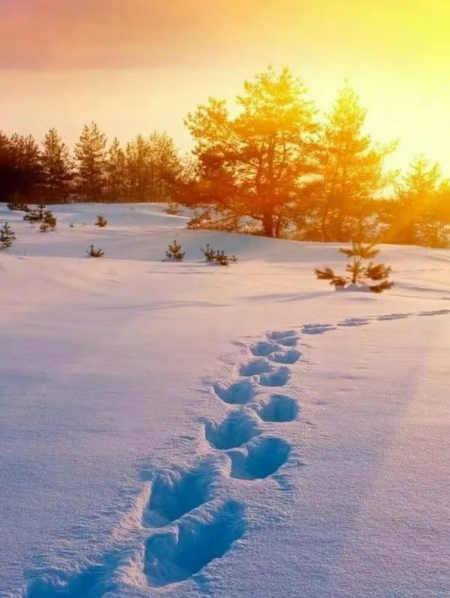 赵淑华/大雪