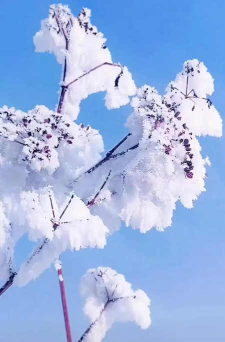 陈富进/冬日随吟（组诗）