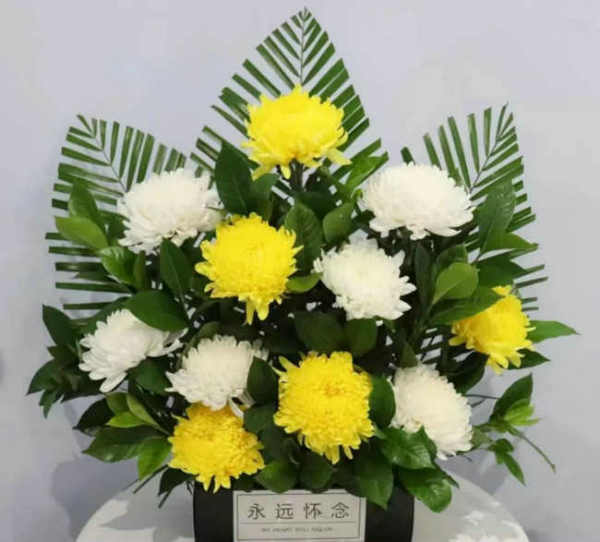王琴敏 | 永远的怀念——谨以此文献给我的母亲