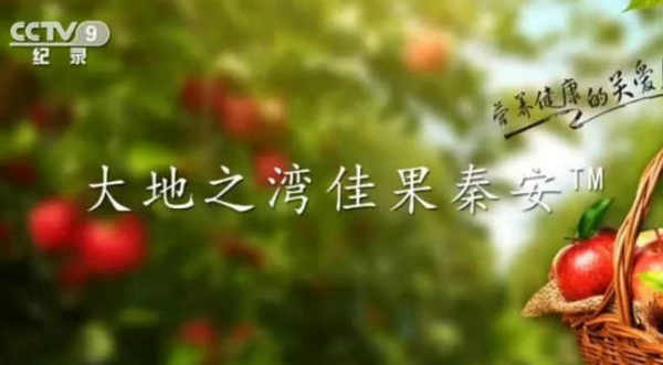 【张泉林/“秦安苹果 ”好在哪里 ？】图1