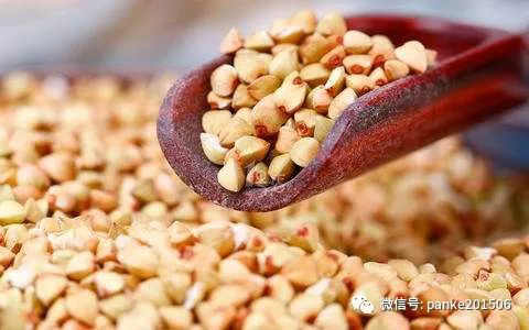 【蔡金喜/秦安庙会美食标配：酒醅子、荞凉粉】图3